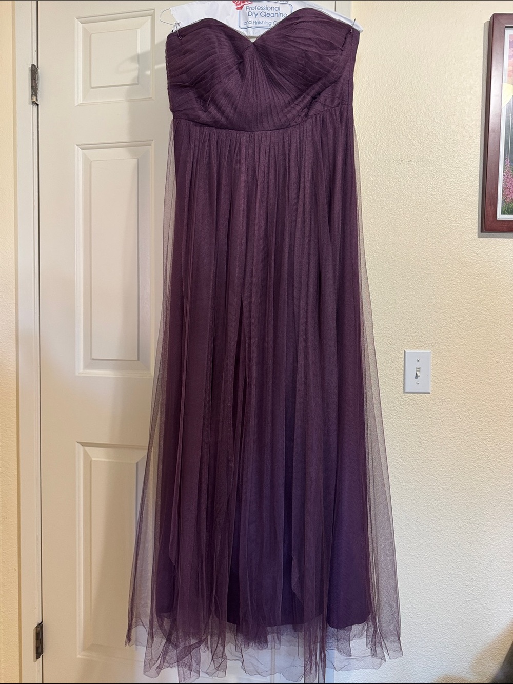 Strapless Jenny Yoo Plum Tulle Bridesmaid/Wedding Guest Dress